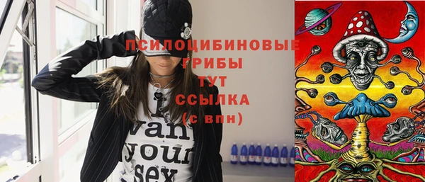 соль ск Алексин