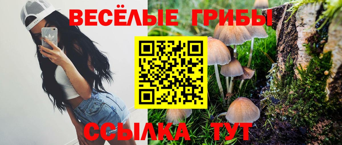 Бахчисарай  Псилоцибиновые грибы MAGIC MUSHROOMS  Псилоцибиновые грибы прущие грибы  Вход с VPN 